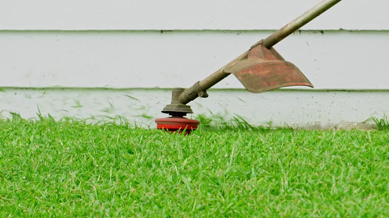 How Our Tree Care Process Works  in  Cottage Lake, WA